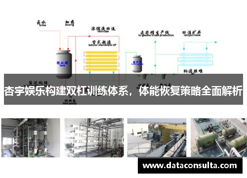 杏宇娱乐构建双杠训练体系，体能恢复策略全面解析