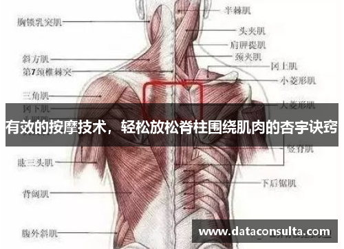 有效的按摩技术，轻松放松脊柱围绕肌肉的杏宇诀窍